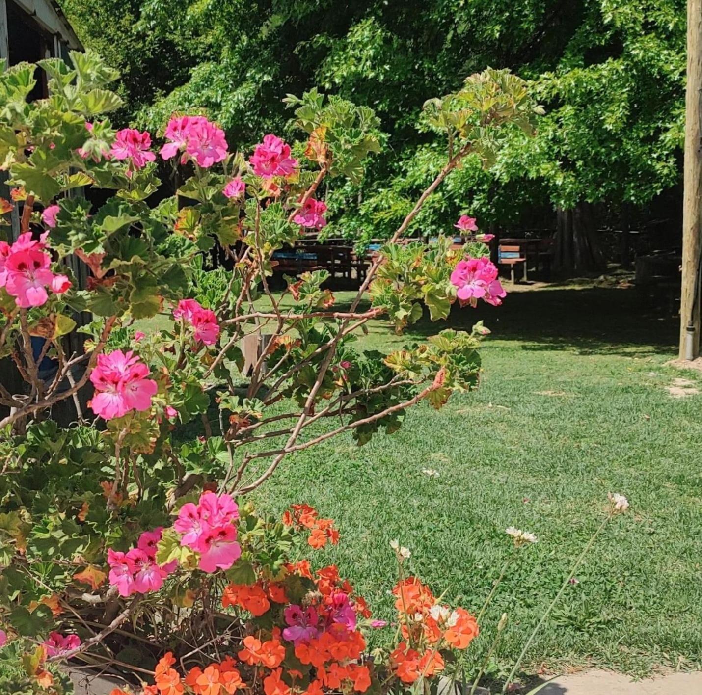 טיגרה Cabanas Faro Delta מראה חיצוני תמונה